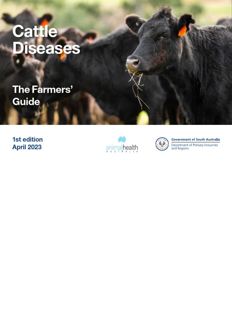 Cattle Diseases Farmers Guide PDF Anthrax Medical Specialties
