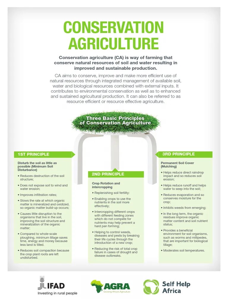 Conservation Agriculture A1 PDF Soil Agriculture