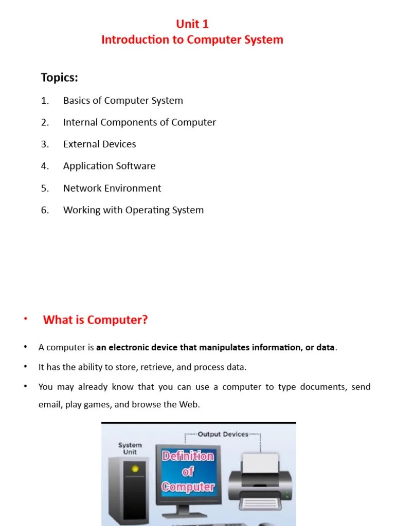 Basics of Computer System PDF Computer Data Storage Computer Monitor