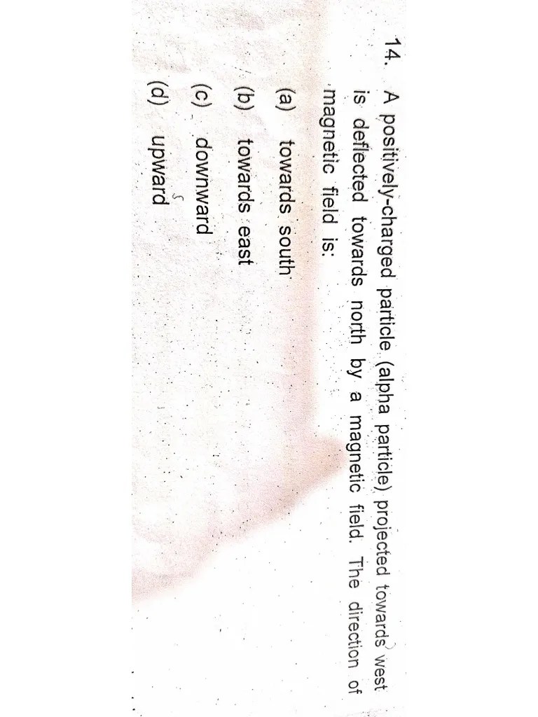 Practice Questions PDF