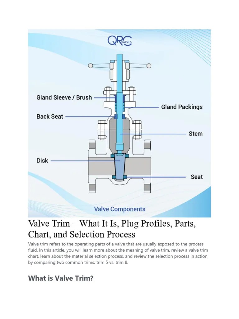 Valve Trims PDF Valve Building Engineering