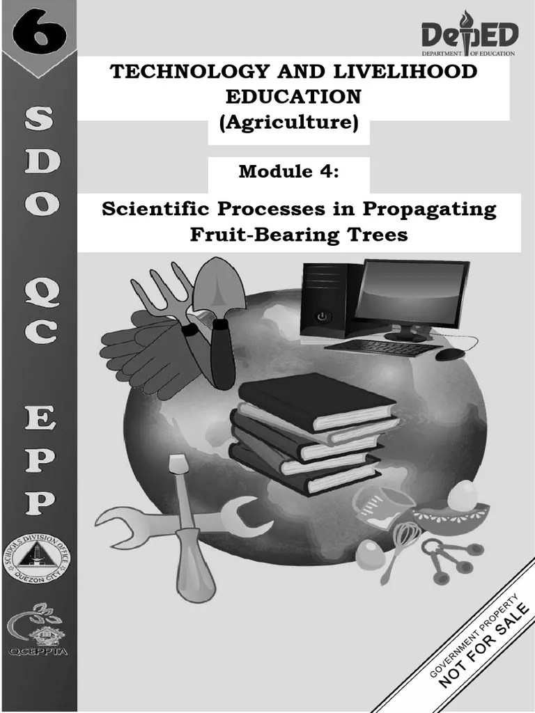 DO Q1W4 TLE 6 MODULE 4 Scientific Processes in Propagating Fruit