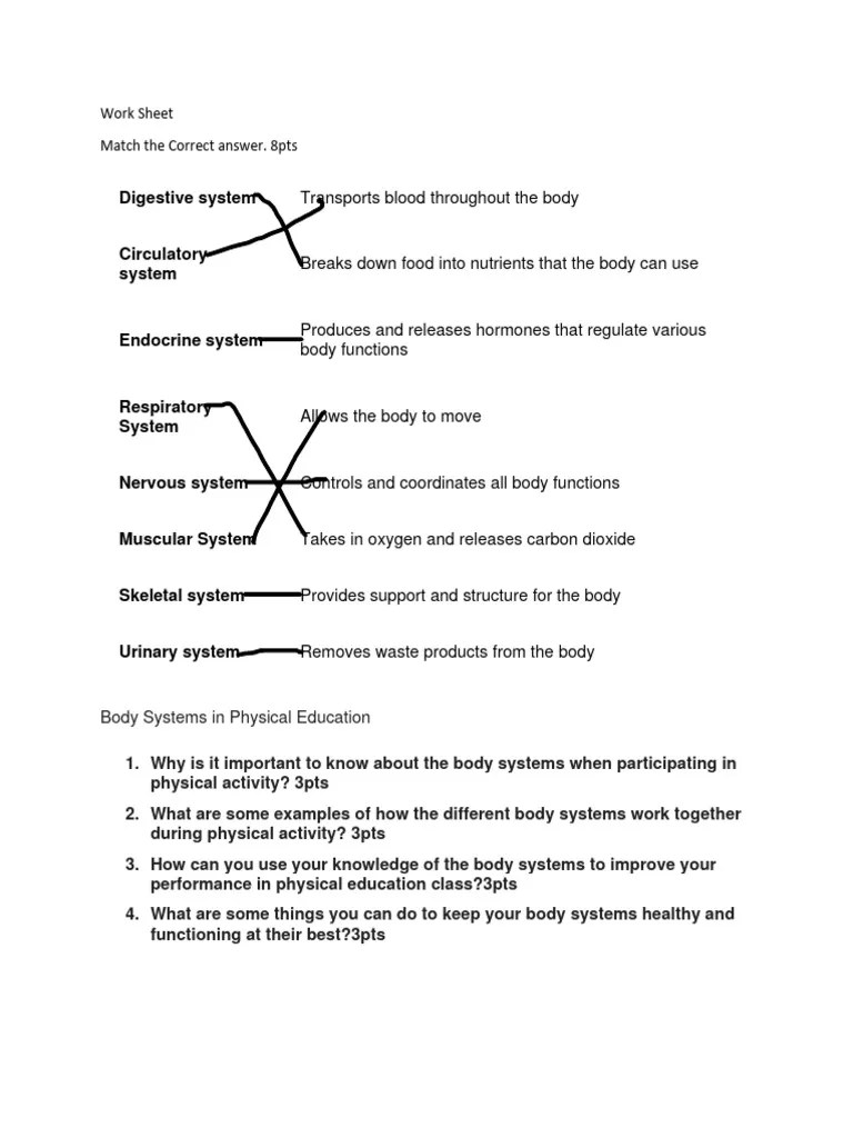 Body System Worksheet PDF