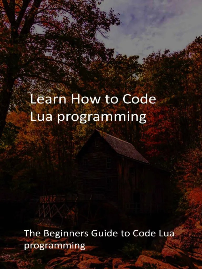 Learn How To Code Lua Programming The Beginners Guide To Code Lua Programming PDF Parameter