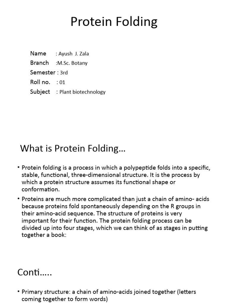 Protein Folding PDF Protein Folding Protein Structure