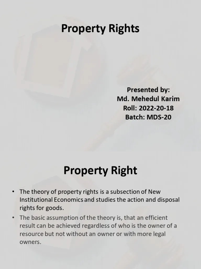 Property Rights PDF Economics Institution