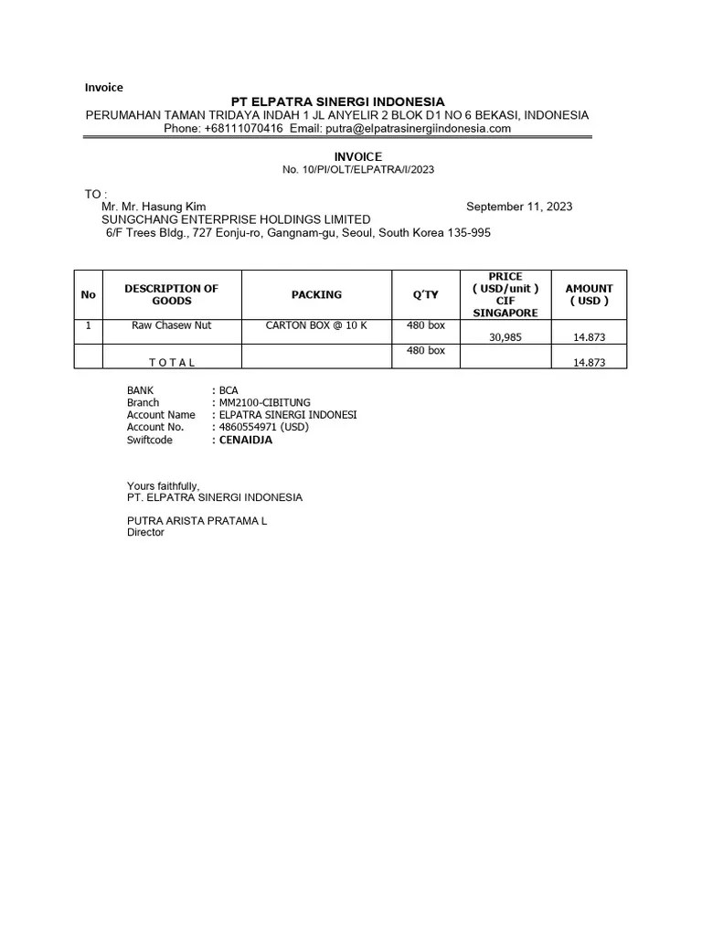 Dummy File Invoice Dan Packing List PDF