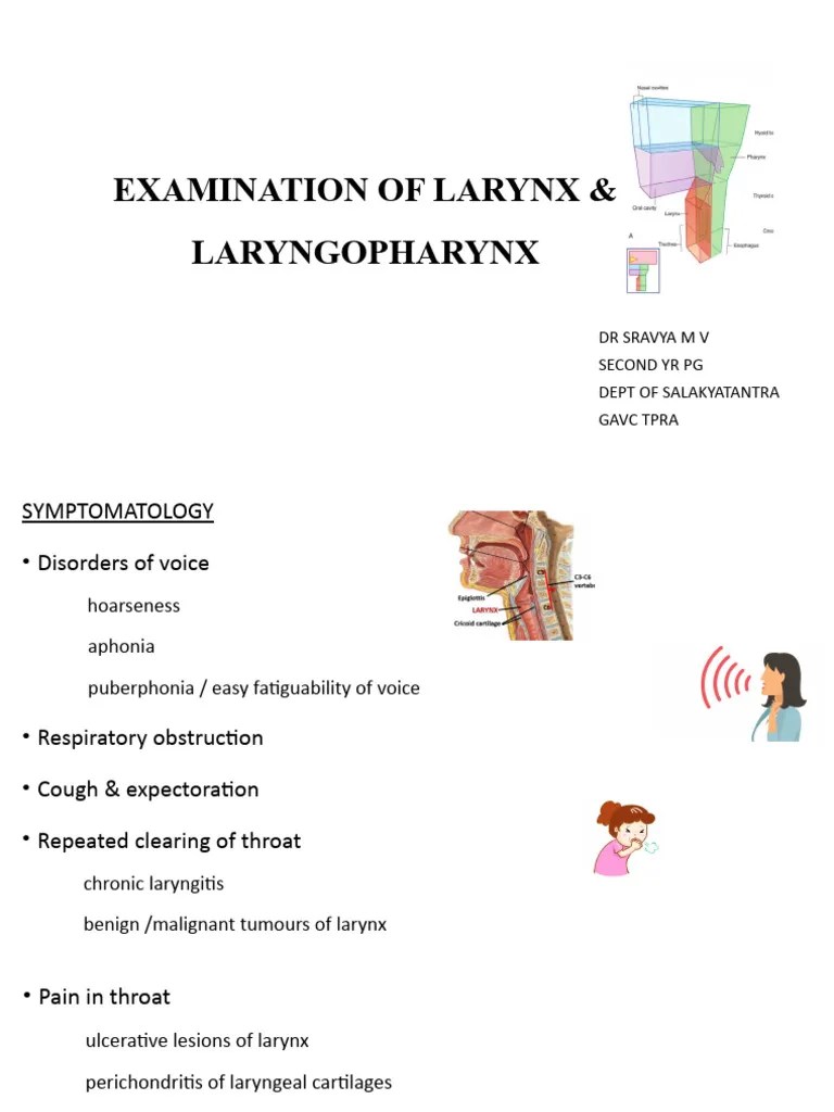 Larynx Examination PDF Larynx Diseases And Disorders