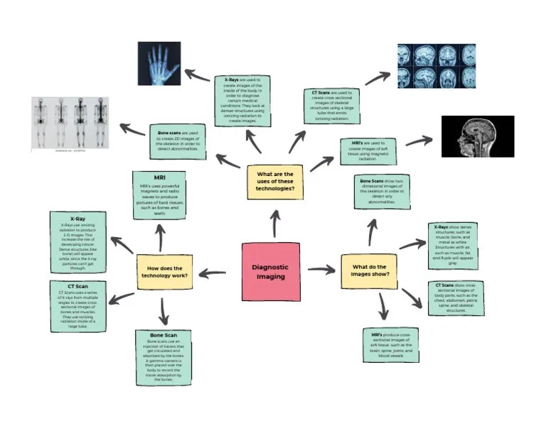 Concept Map Graphic Organizer PDF