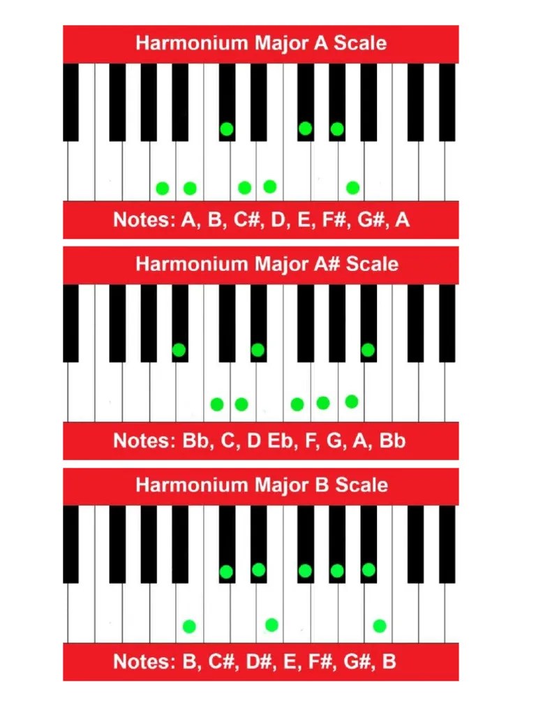 Harmonium Scales PDF