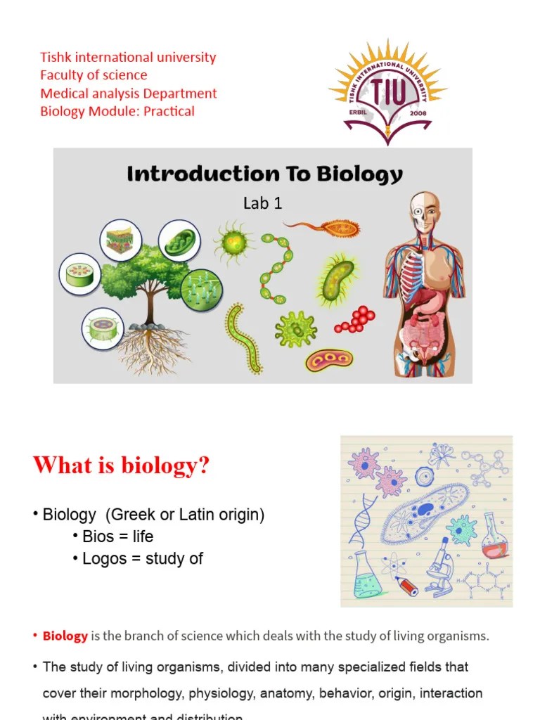 Lab 1 Introduction To Biology Autosaved PDF Organisms Biology