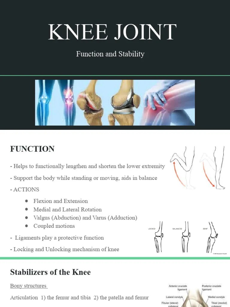 Knee Joint Function and Stability PDF