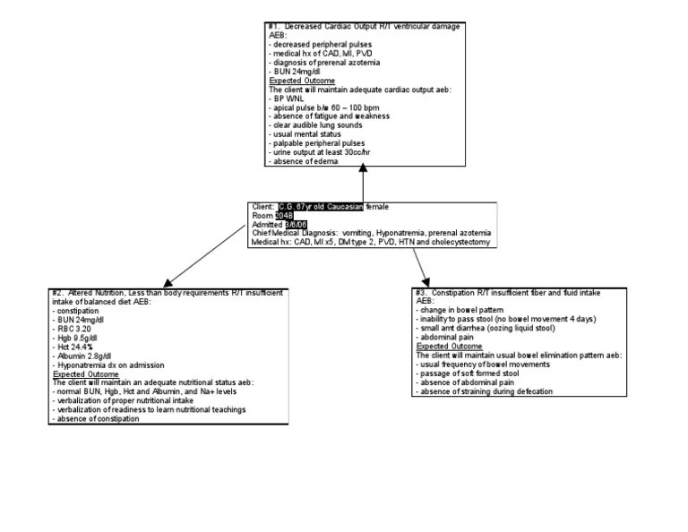 Concept Map For Constipation Sample Concept Map PDF Constipation Symptoms And Signs
