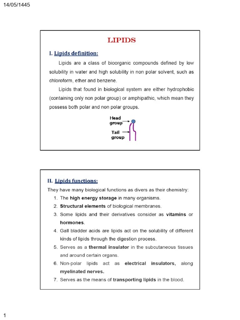 Lipids 1&2 PDF