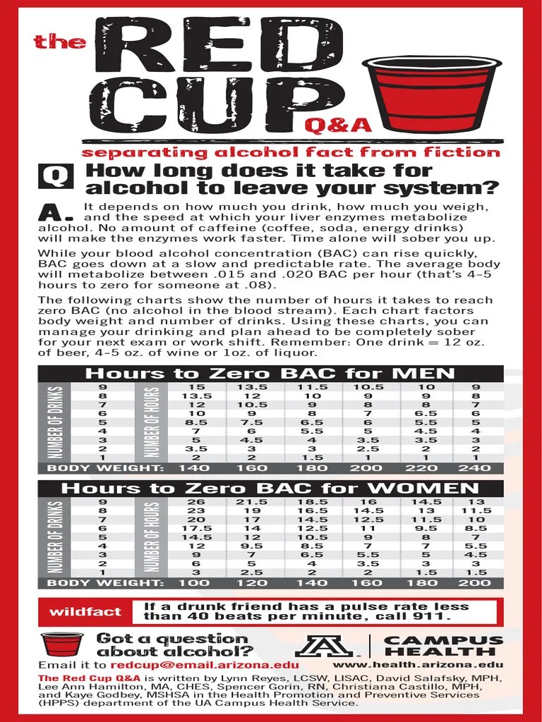 How Long Does It Take for Alcohol to Leave Your System PDF Drink Alcohol