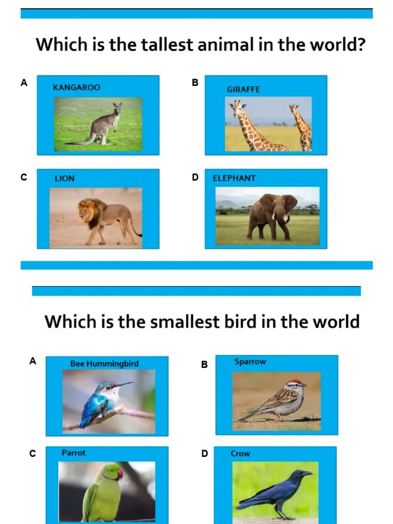 Animal Quiz PDF