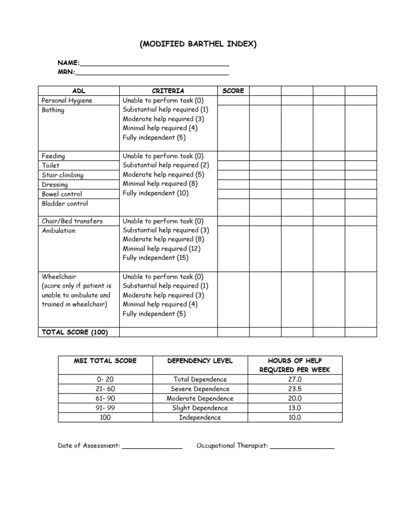Modified Barthel Index PDF