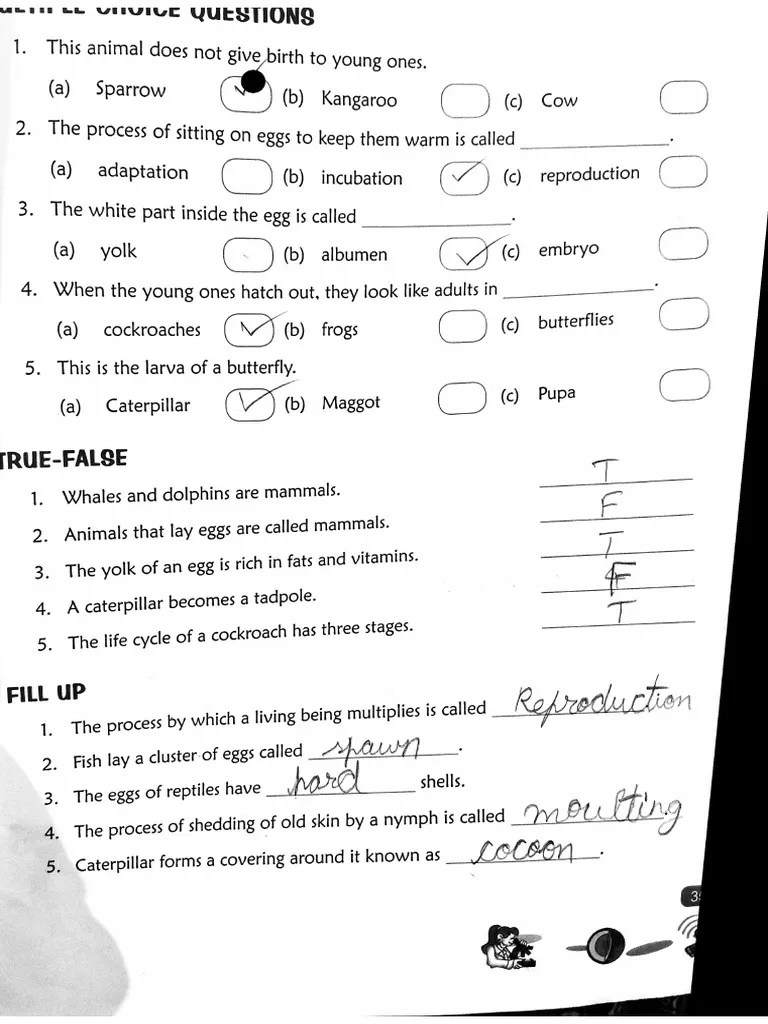 Science Chapter 1 | PDF