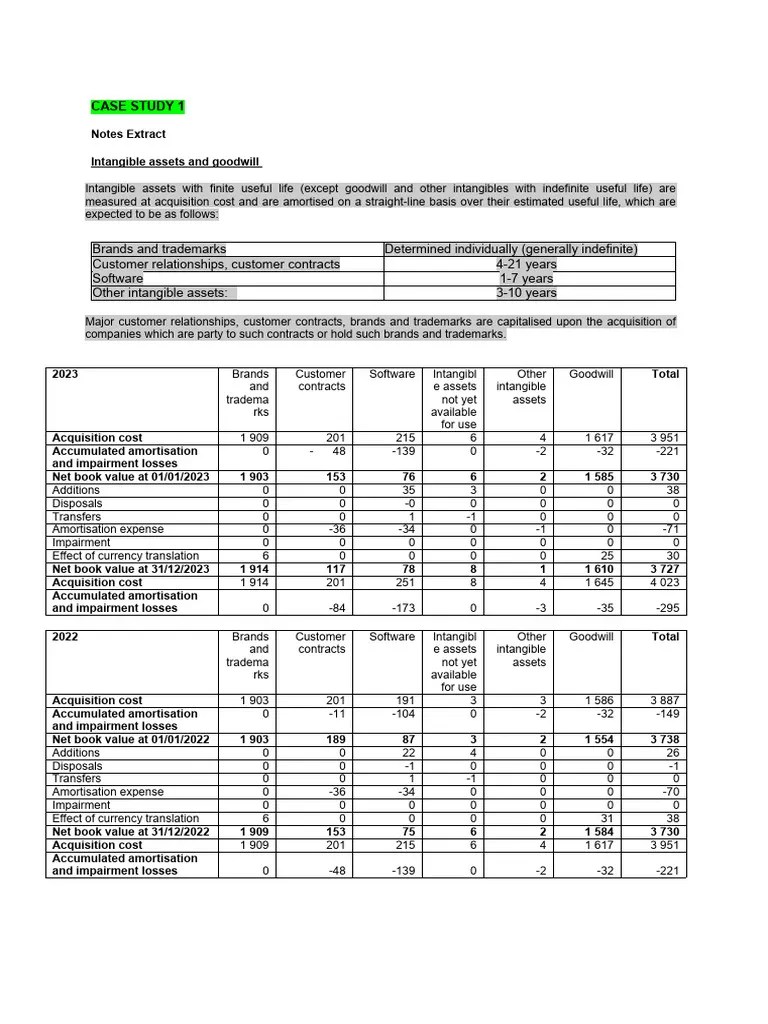 Case Study 1 Example Solution (Handout 2) PDF Goodwill (Accounting) Intangible Asset