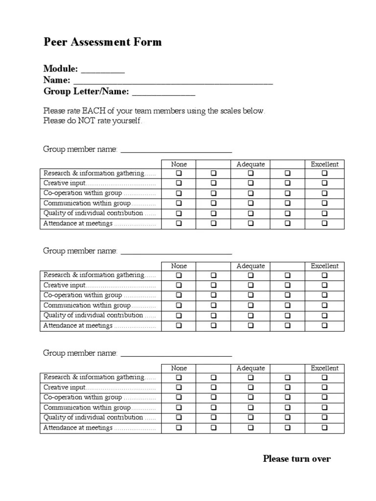 Peer Assessment Form PDF