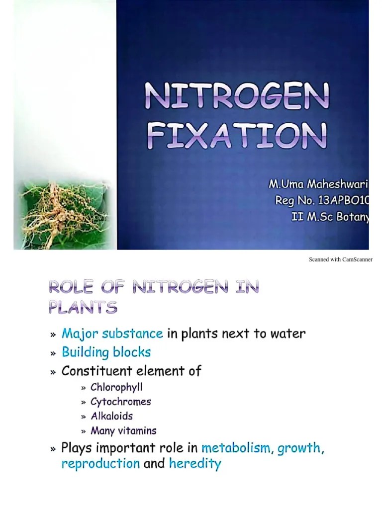 Nitrogen Fixation PDF