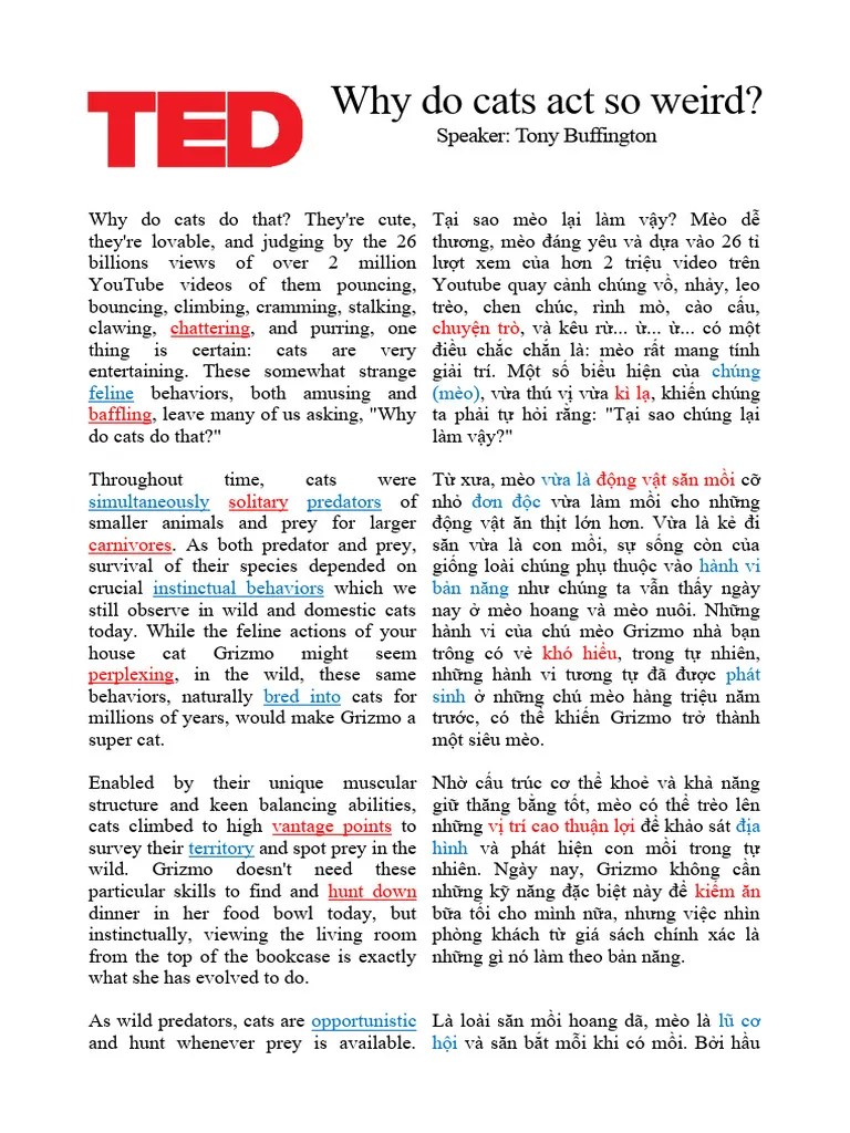 Why Do Cats Act So Weird PDF