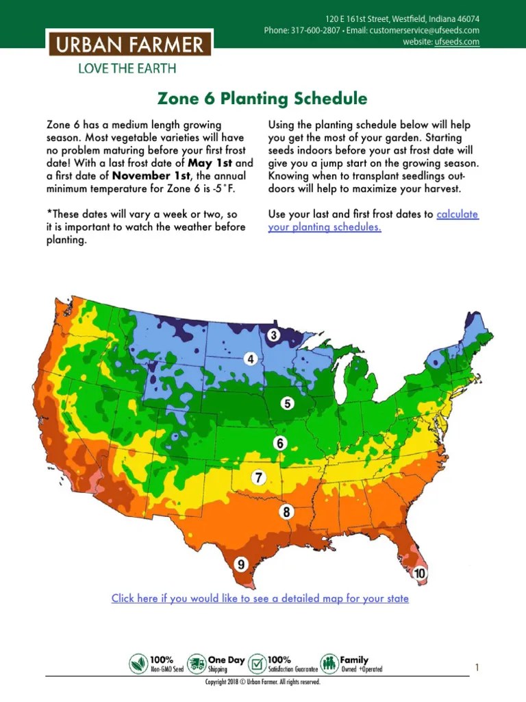 What To Grow in Zone 6 PDF