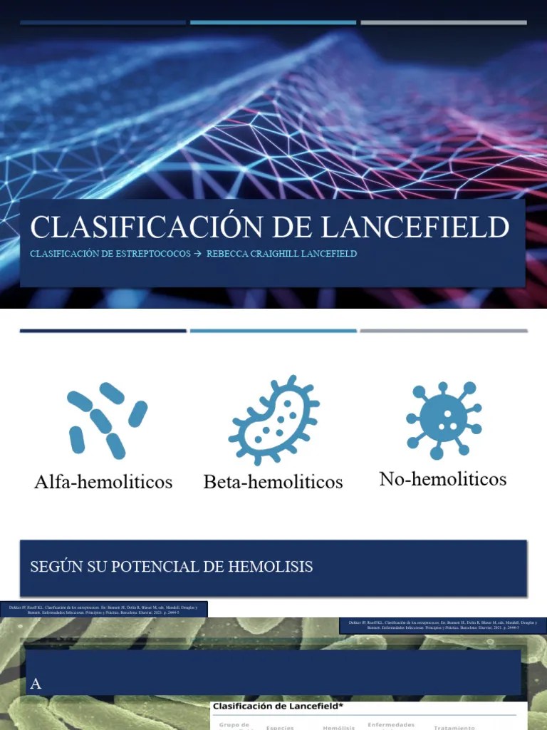 Clasificación de Lancefield PDF