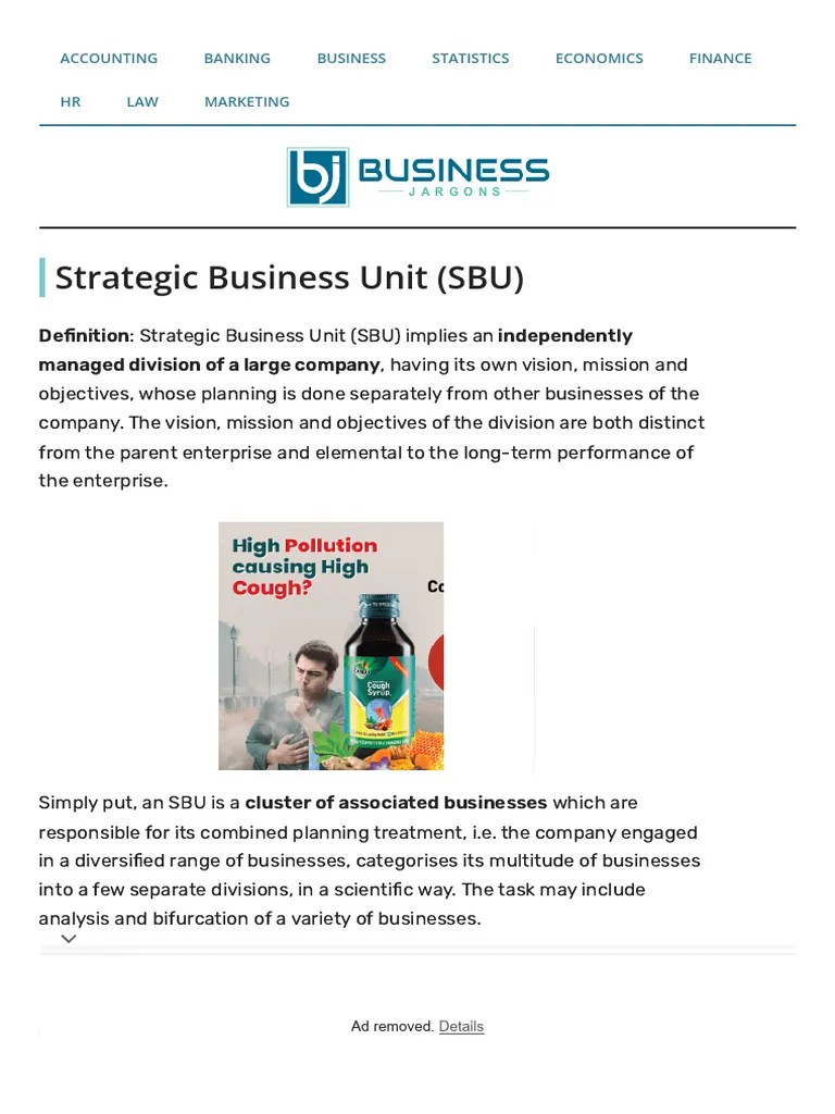 What is Strategic Business Unit (SBU)_ Definition, Characteristics and