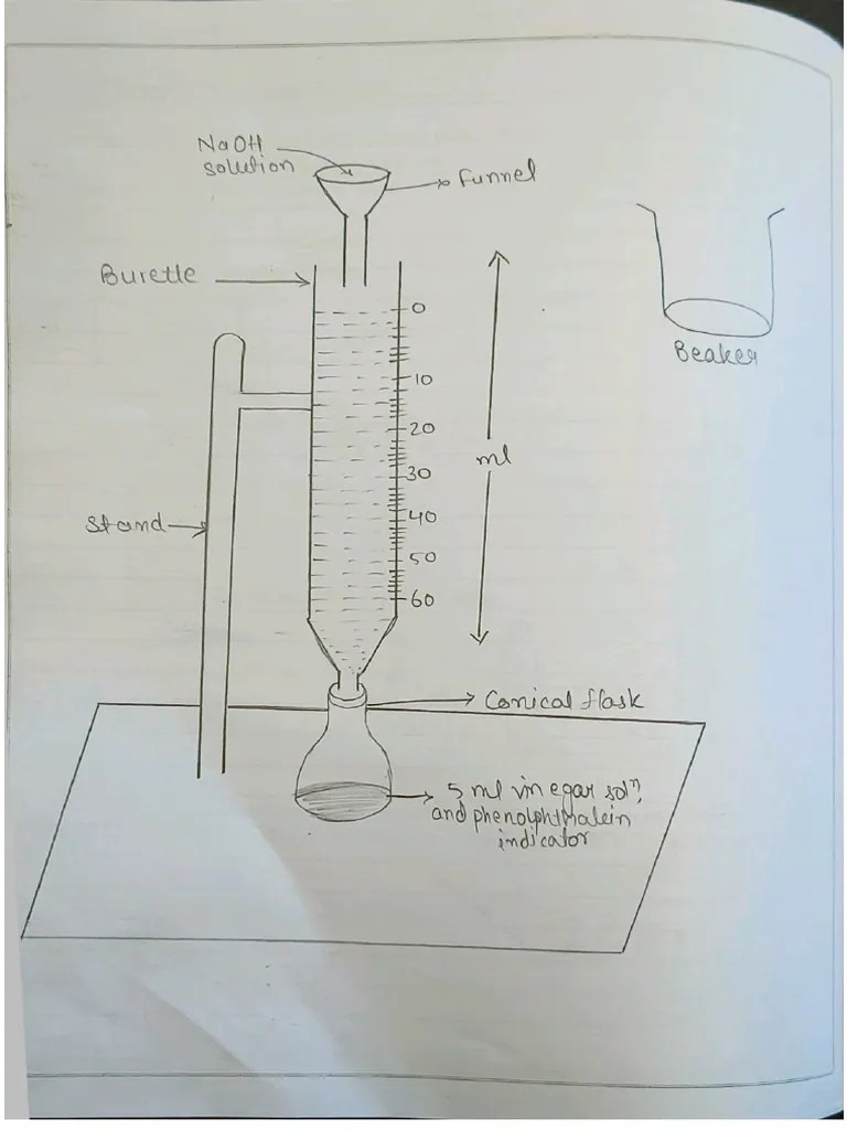 Chemistry practical titration mohr salt PDF