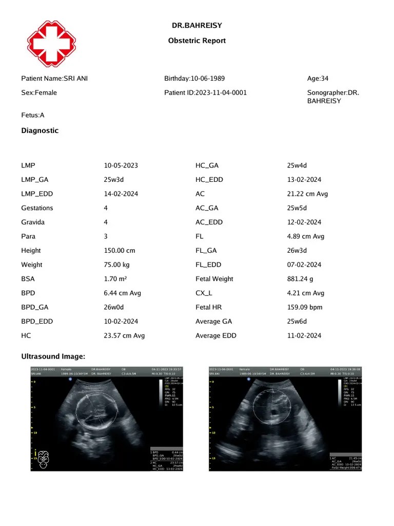 Obstetric Report FetusA PDF