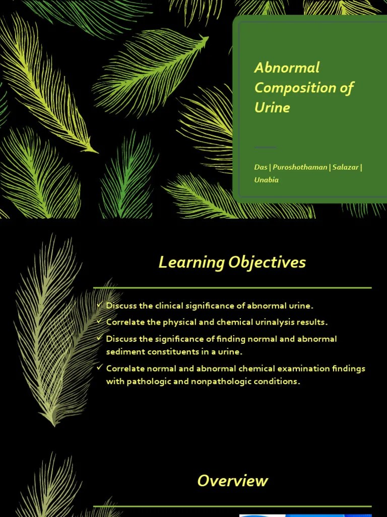 Abnormal Composition of Urine PDF Multiple Myeloma Kidney