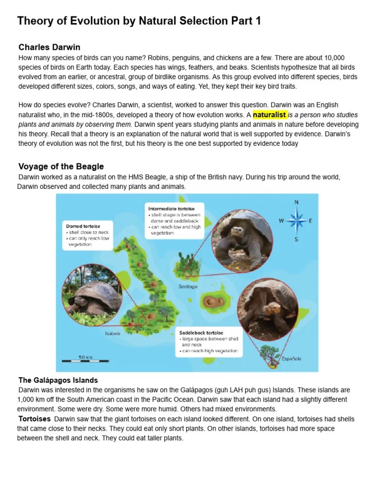 Theory of Evolution by Natural Selection Part 1 PDF