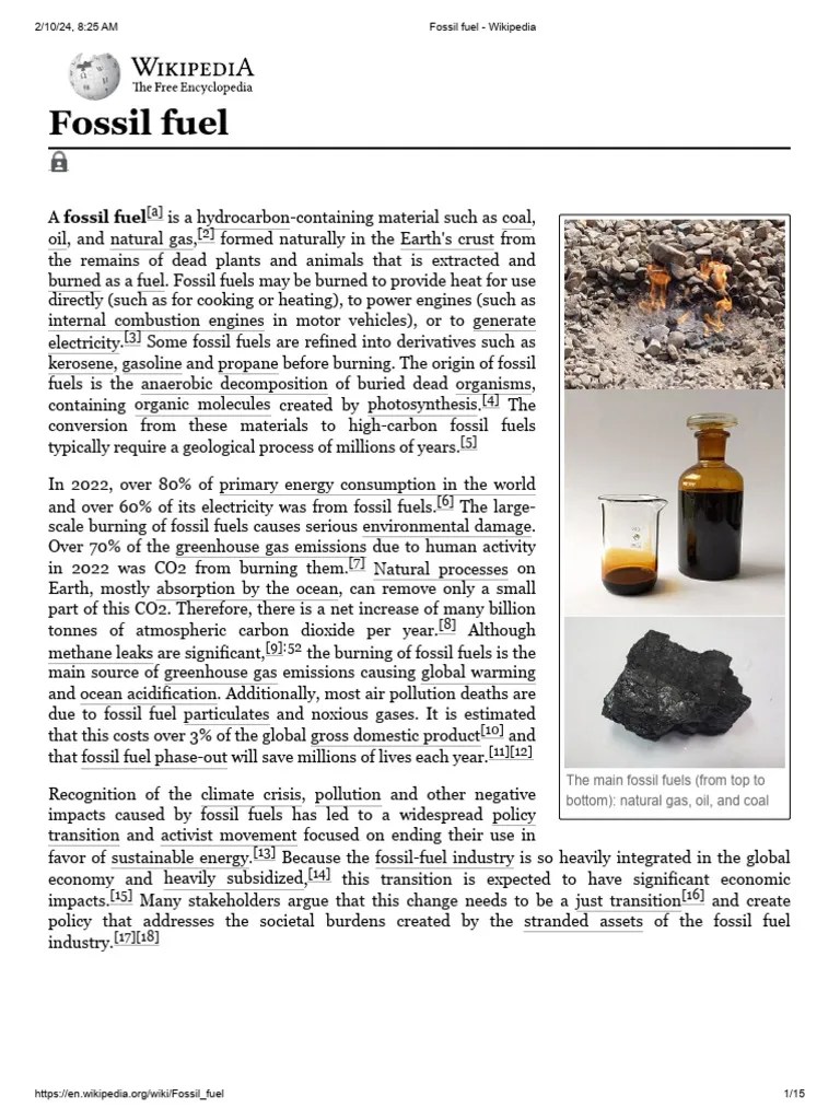 Fossil fuel Wikipedia PDF Fossil Fuels Petroleum