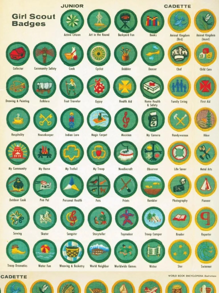 FOUND 1964 Girl Scouts Badges