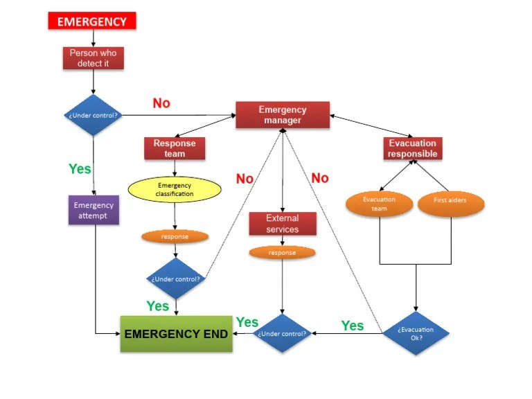 Emergency Response Flow Chart PDF