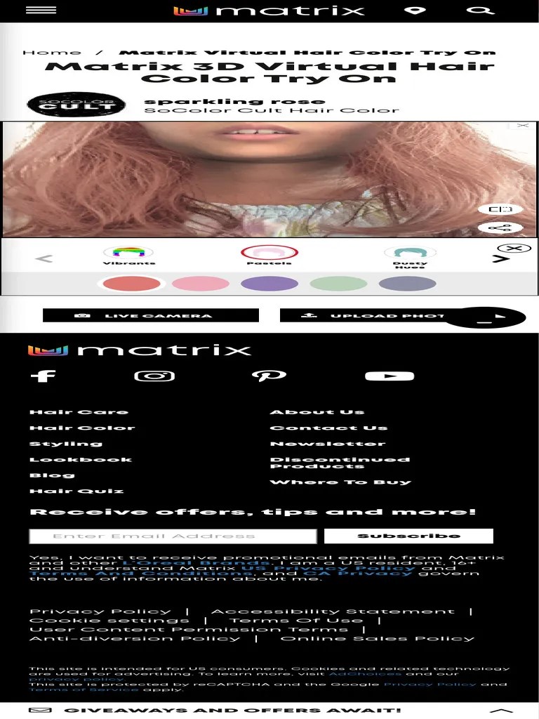 Matrix 3D Virtual Hair Color Try On Matrix PDF