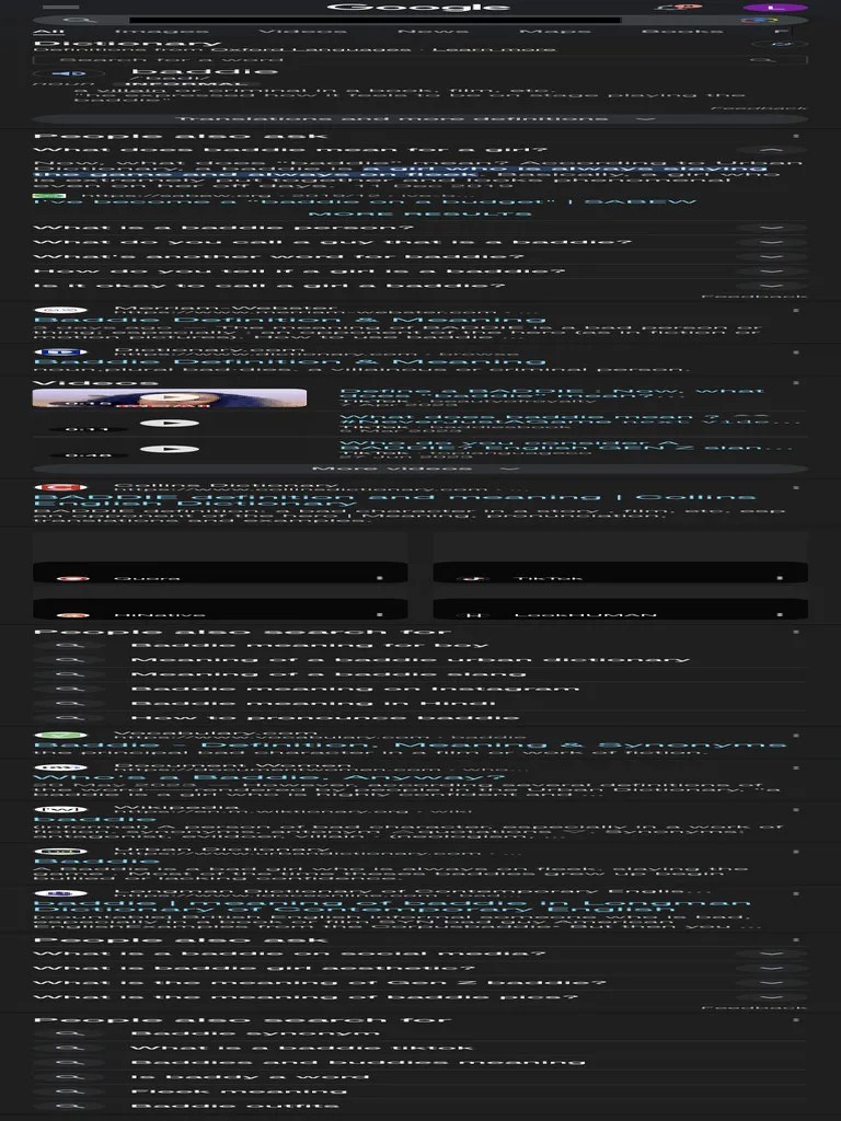 Meaning of A Baddie Google Search PDF Lexicography Languages
