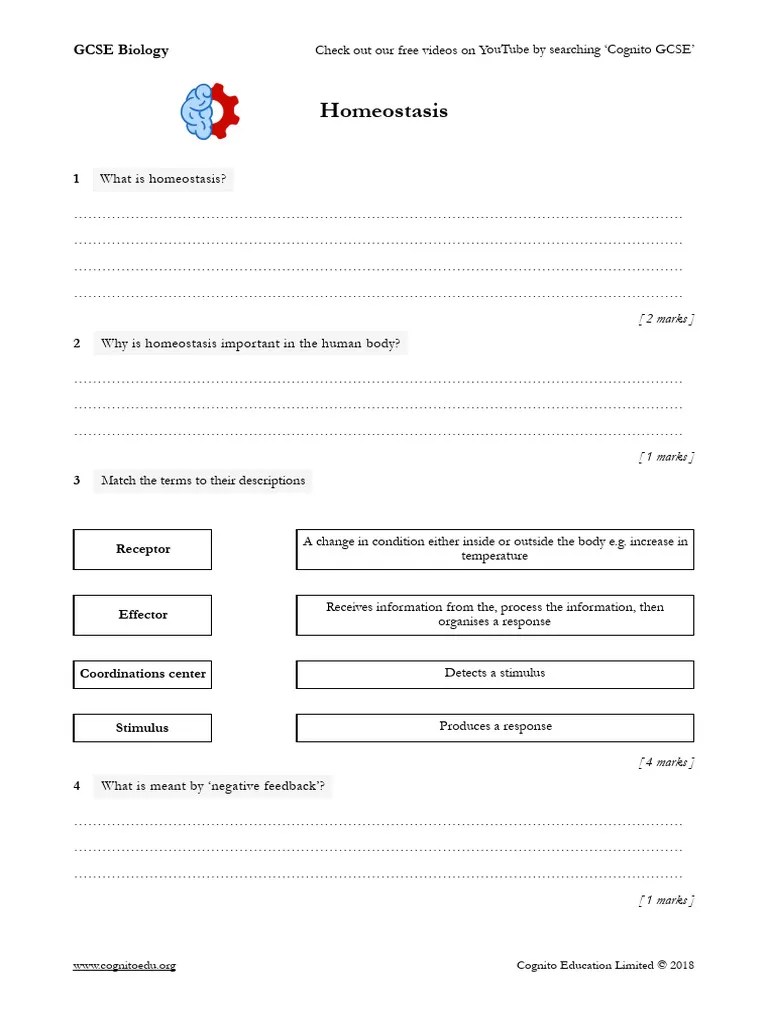 Homeostasis in GCSE Biology Worksheets PDF Physiology Cognitive(05)