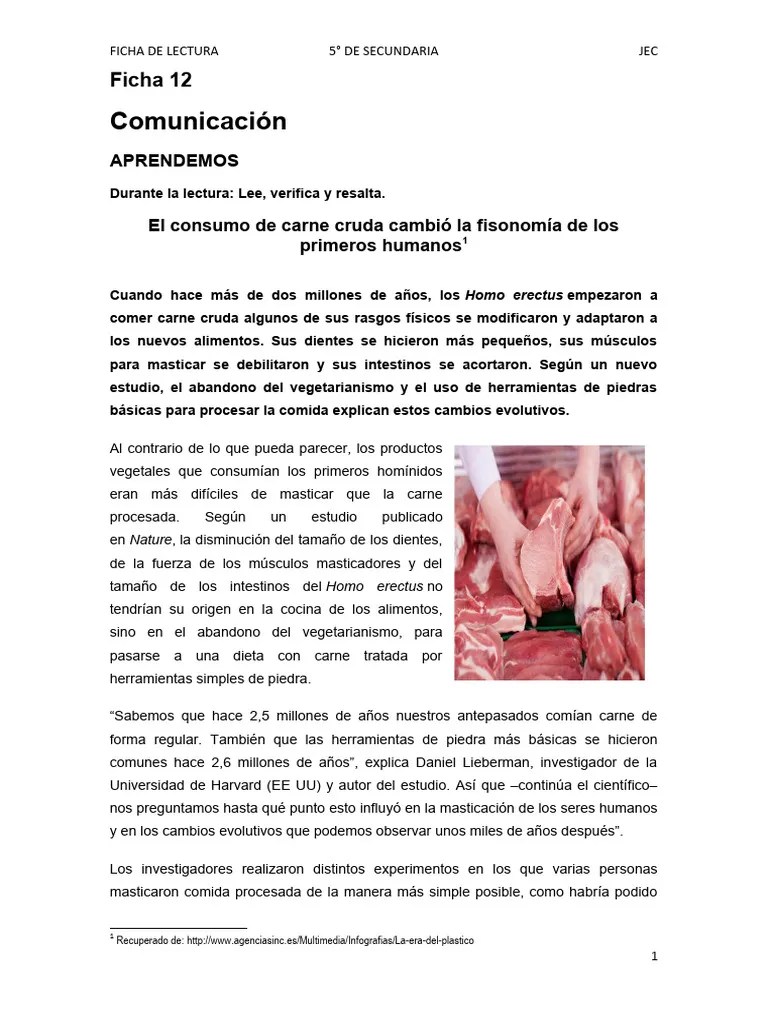 12 PDF río Amazonas Homo