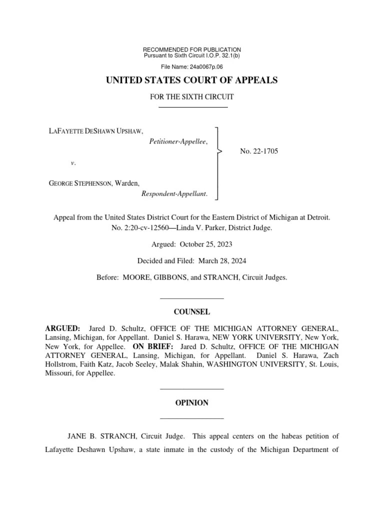 24a0067p 06 PDF Batson V. Kentucky Judiciaries