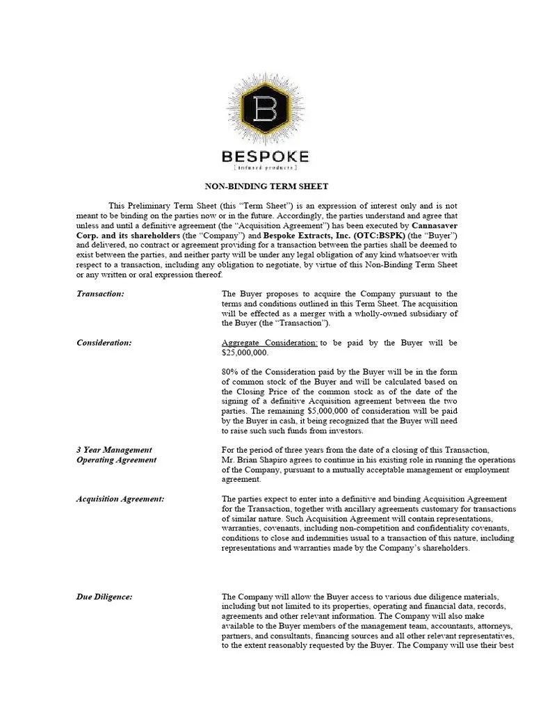 NonBinding Term Sheet PDF Mergers And Acquisitions Stocks