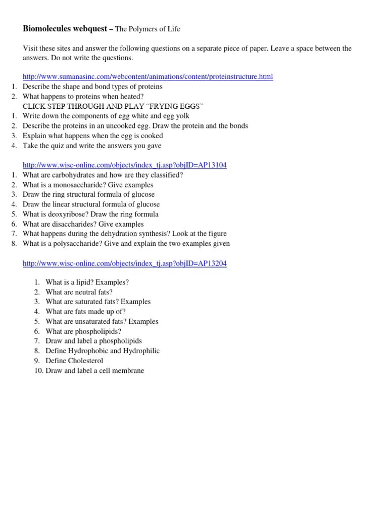 Biomolecules quest PDF Lipid Biomolecules