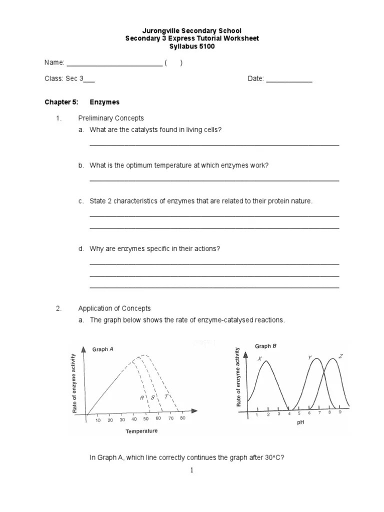 Chapter 4 Enzymes Worksheet PDF Enzyme Ph
