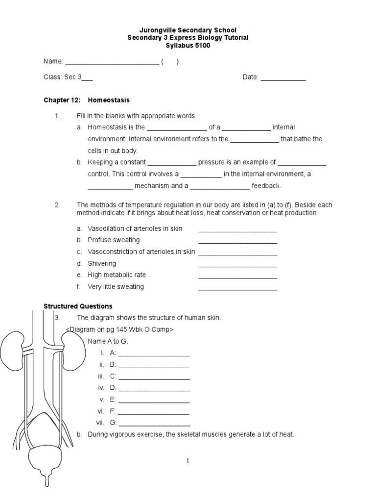 Chapter 12 Homeostasis -Tutorial Worksheet | Homeostasis | Thermoregulation