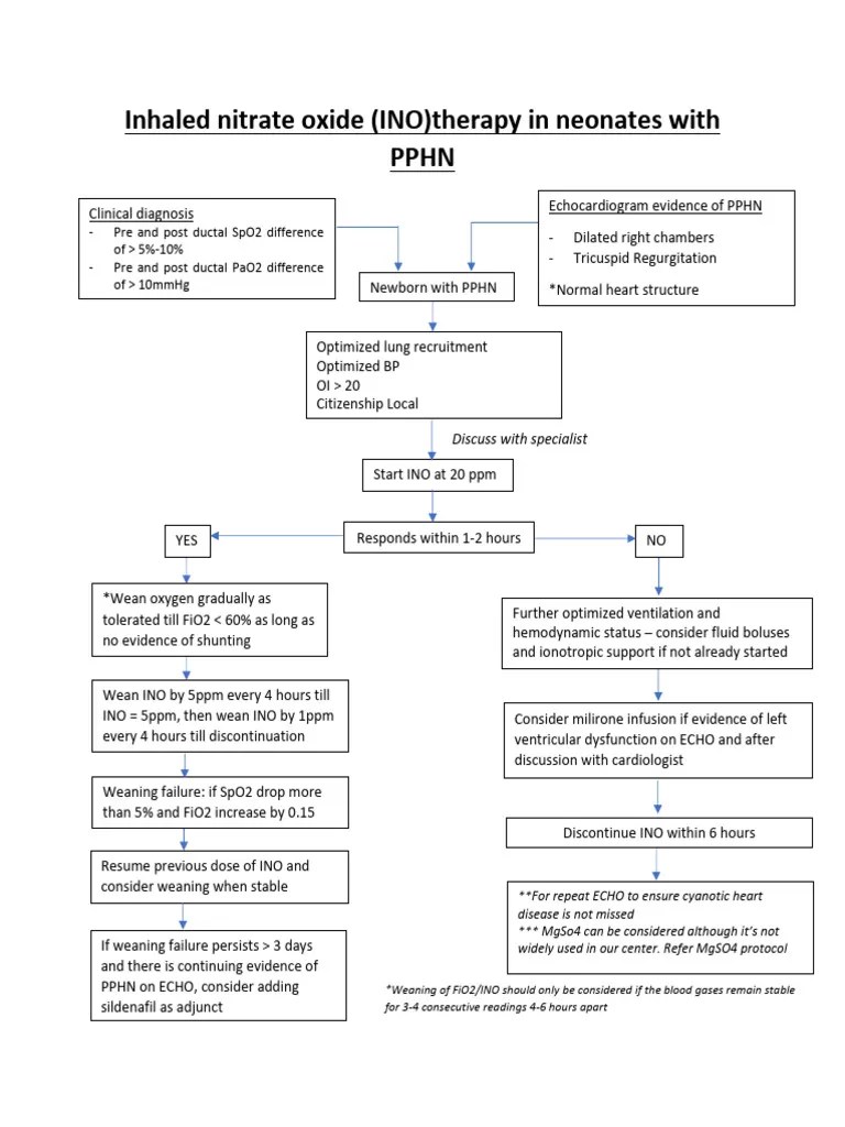 Inhaled Nitric Oxide Therapy in Neonates With PPHN 2 PDF Diseases