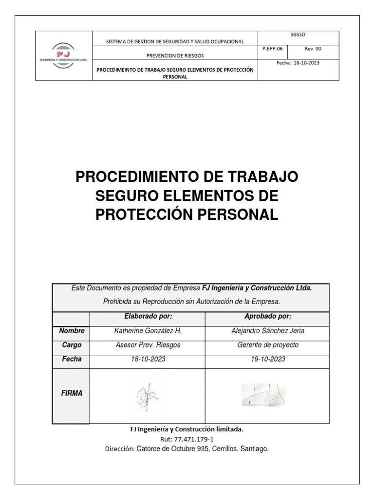 PEPP06 Procedimiento de Trabajo Seguro EPP Descargar gratis PDF