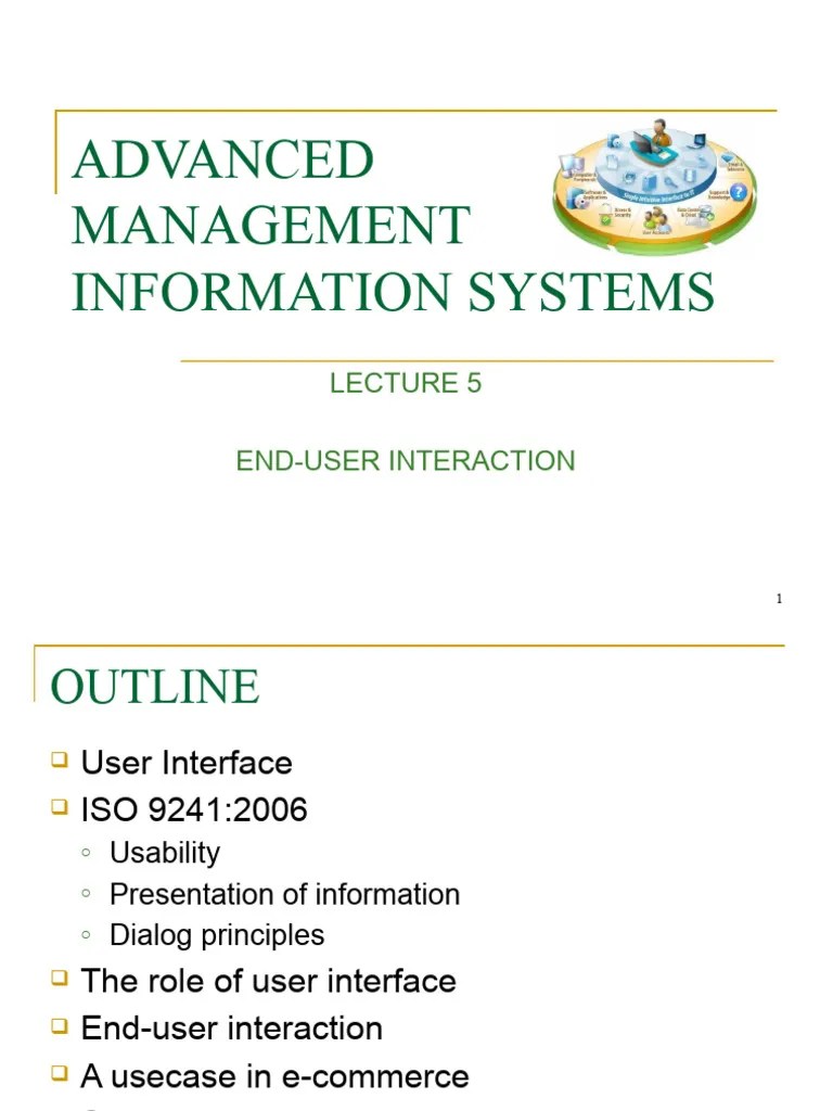 EndUser Interaction in Information Systems PDF Usability Human