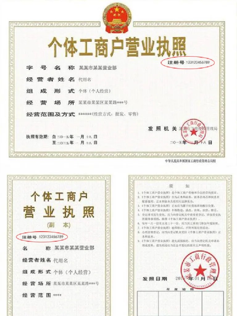 Chinese_Business_Registration_Certificate_sample PDF