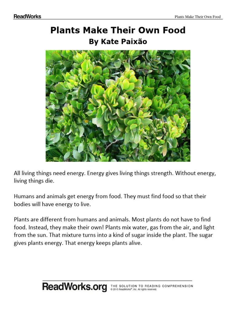 plants_make_their_own_food_questions PDF